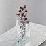VASE - Klar, Basics, Glas (10/20cm) - LEONARDO