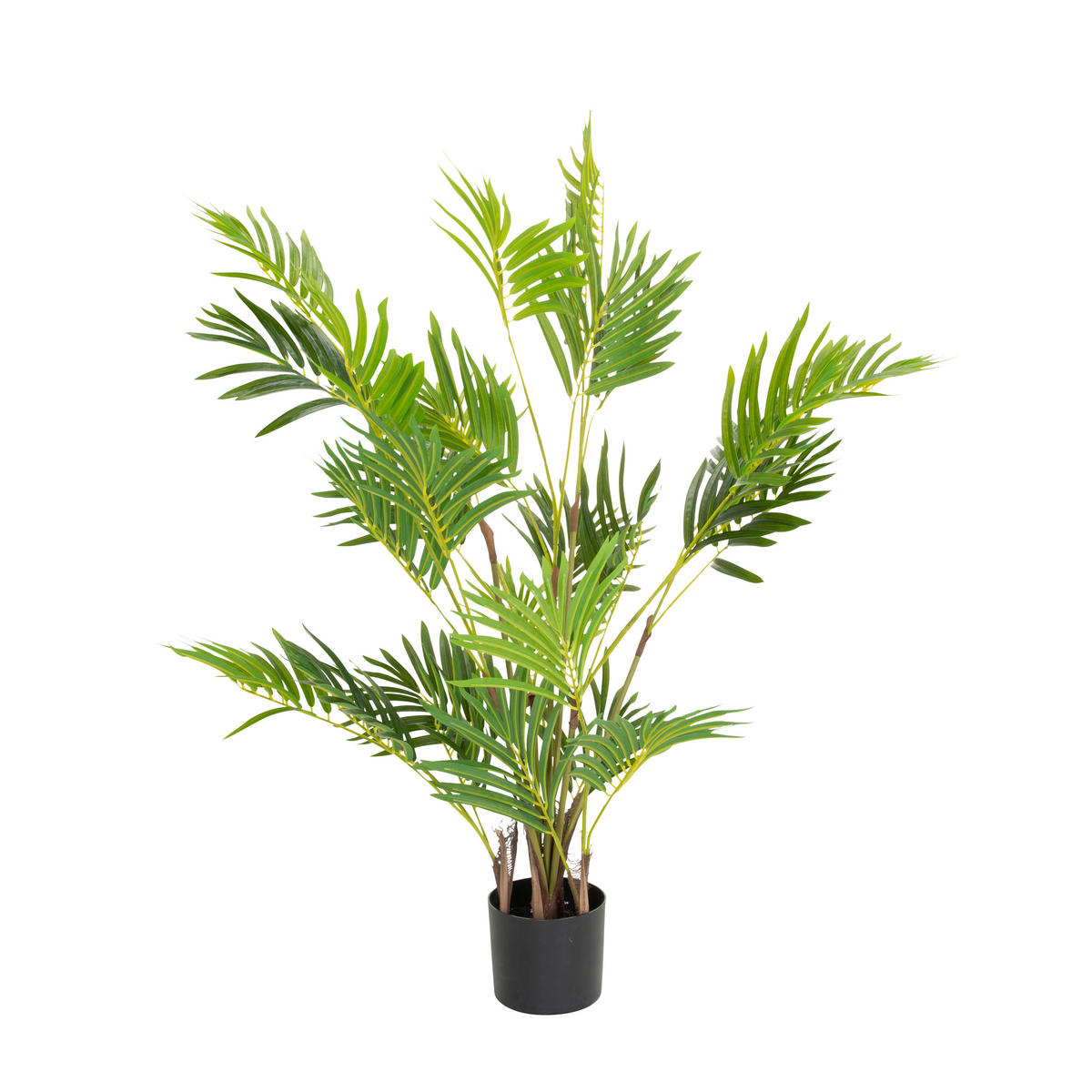 KUNSTPFLANZE Palme  - Schwarz/Braun, Basics, Kunststoff (70/120/70cm) - MID.YOU