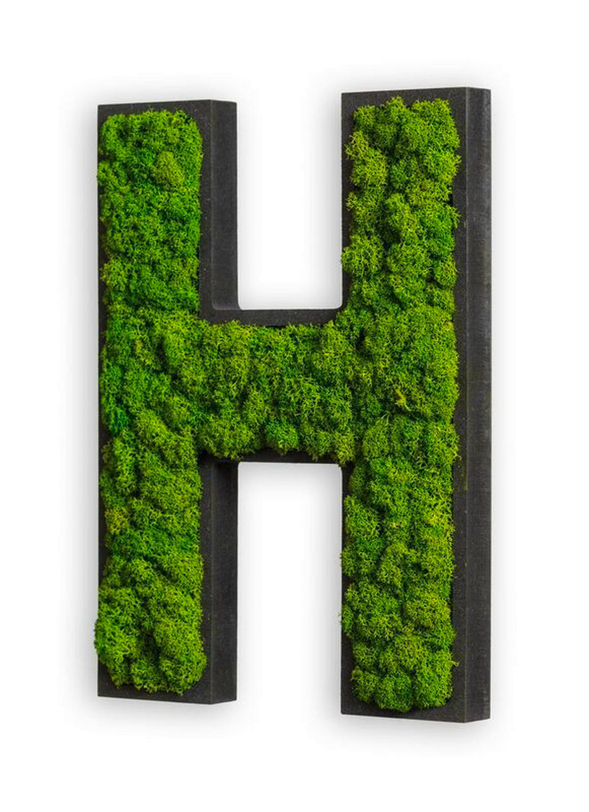 MOOSBILD Stylegreen  - Schwarz/Grün, Basics, Naturmaterialien/Holz (25/19/4cm)