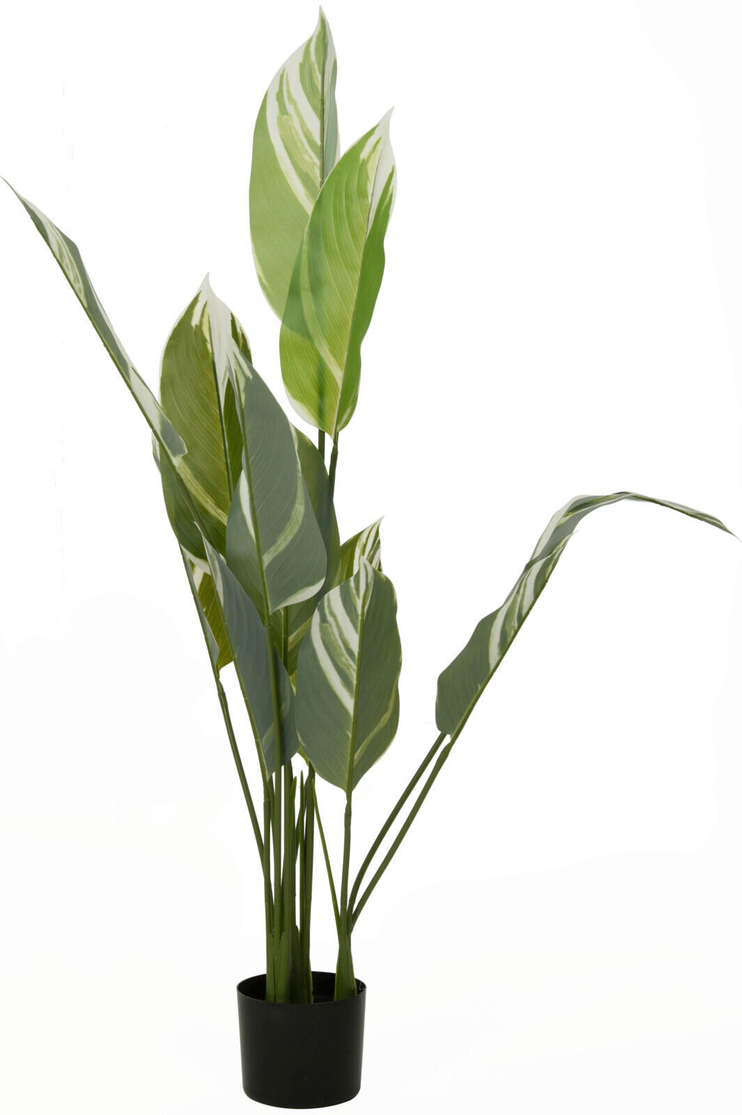 PLANTĂ ARTIFICIALĂ - Basics, plastic (70/70/18cm)