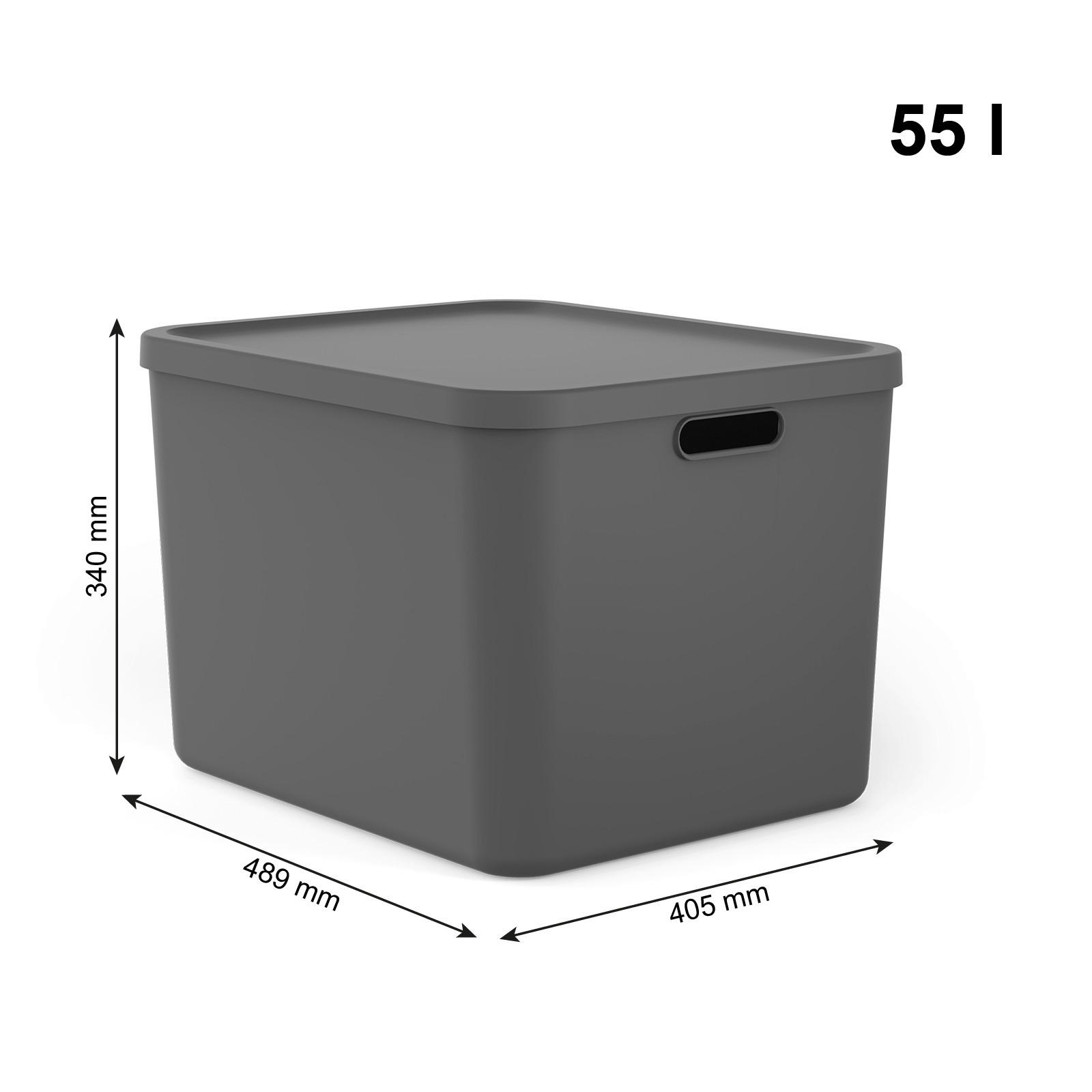 AUFBEWAHRUNGSBOX Albula  - Anthrazit, KONVENTIONELL, Kunststoff (48,9/40,5/34cm) - Rotho