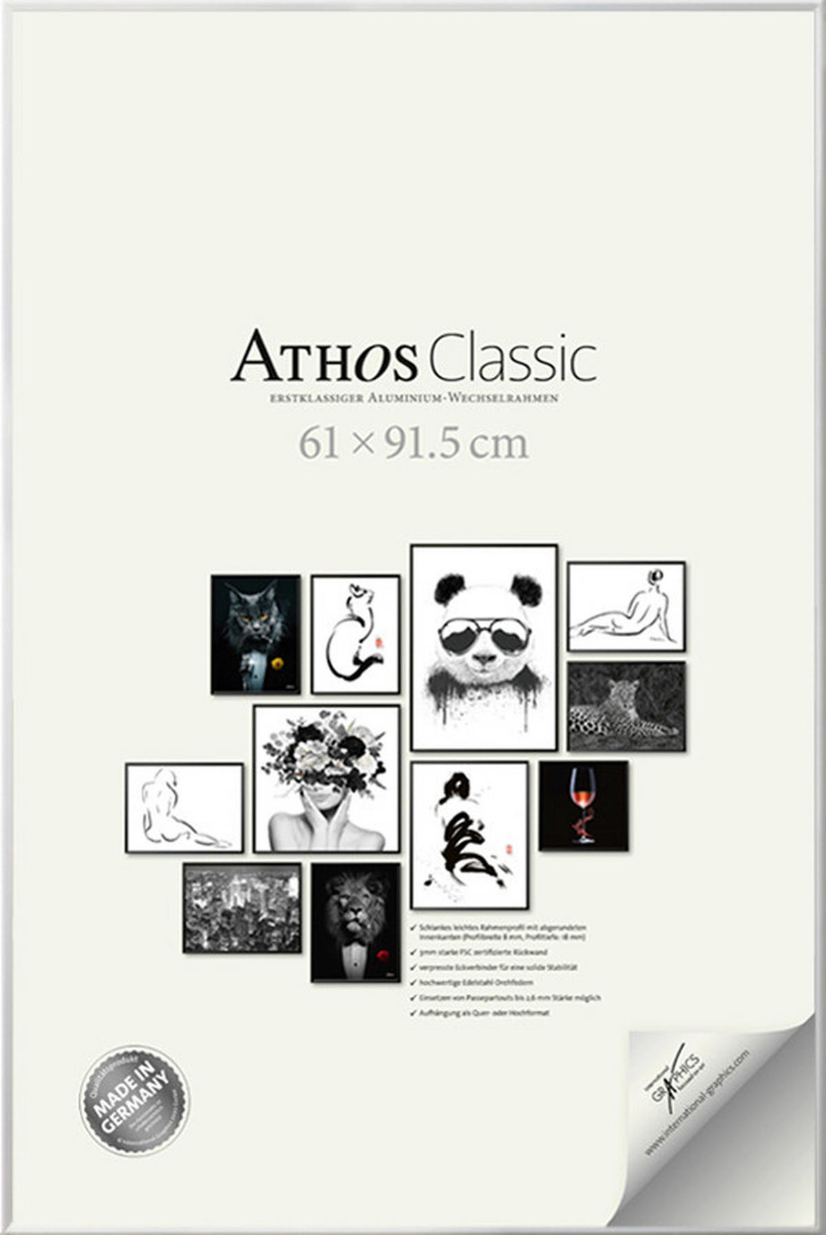 BILDERRAHMEN - Chromfarben, Basics, Papier/Holzwerkstoff (61/91,5/1,8cm)