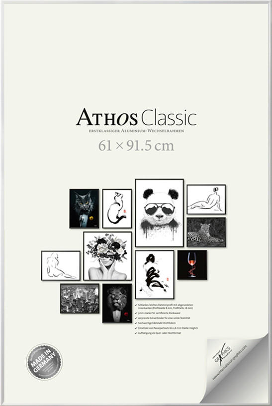 XXXLutz Bilderrahmen Athos Classic+ Chrom 61x91.5x1.8 cm