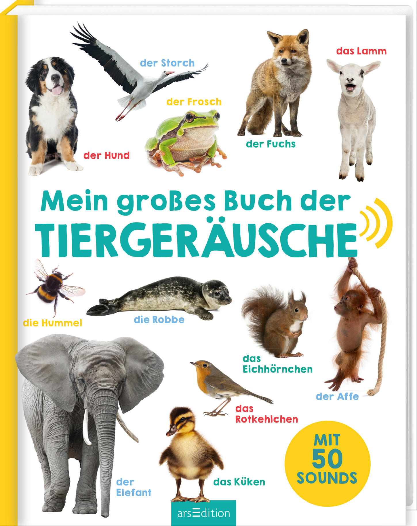 BUCH  - Multicolor, Basics, Naturmaterialien (27,7/22,2/1,1cm) - Carlsen