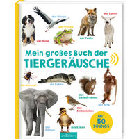 BUCH  - Multicolor, Basics, Naturmaterialien (27,7/22,2/1,1cm) - Carlsen