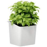 KRÄUTERTOPF   - Weiß, Basics, Kunststoff/Metall (13,5/13,5/14cm) - Tesa