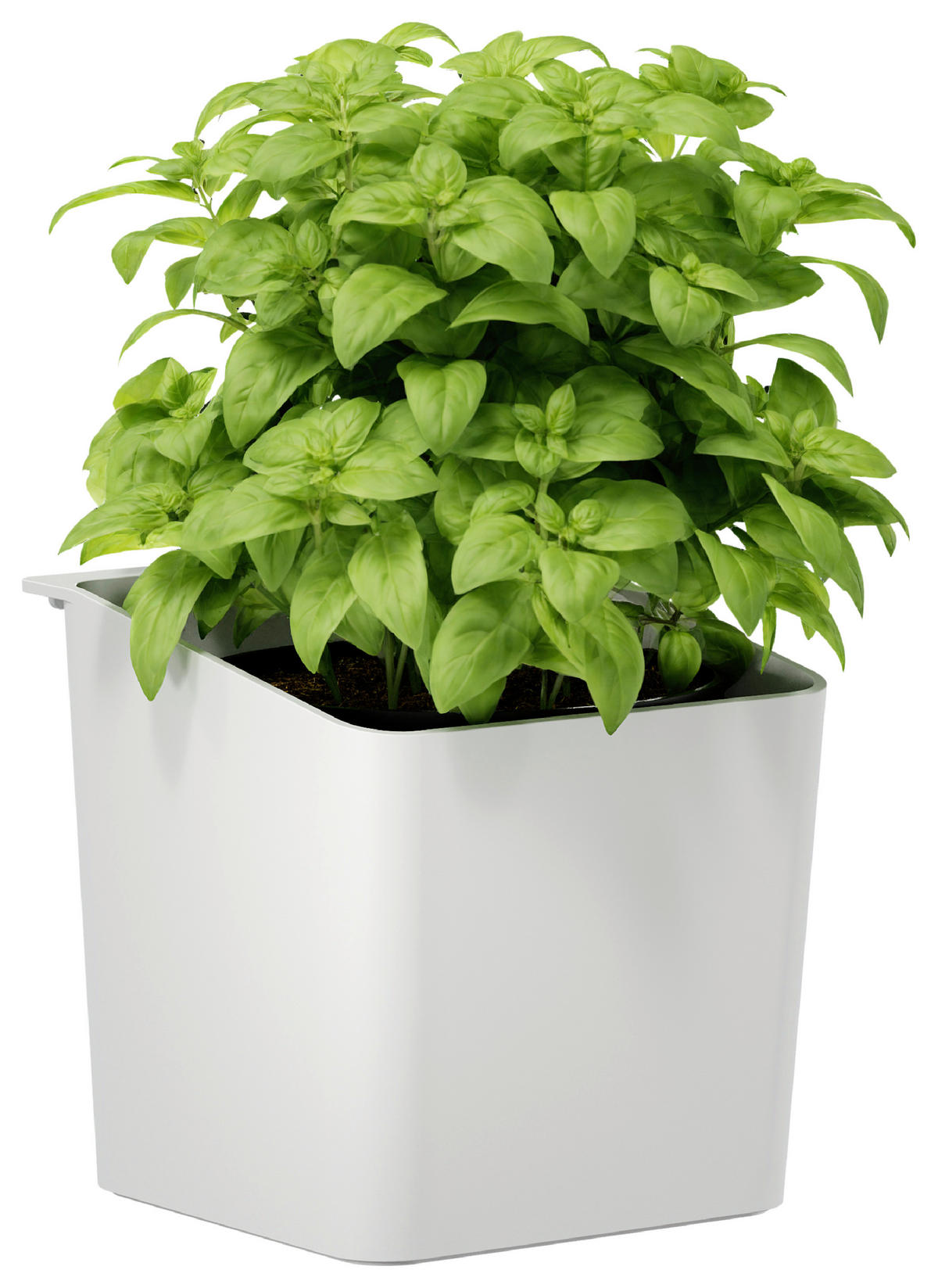 KRÄUTERTOPF   - Weiß, Basics, Kunststoff/Metall (13,5/13,5/14cm) - Tesa