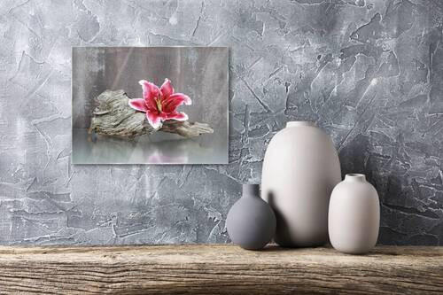 OBRAZ NA SKLE, zen, 30/40 cm  - vícebarevná, Basics, sklo (30/40cm) - Euroart