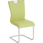SCHWINGSTUHL in Edelstahl Lederlook  - Edelstahlfarben/Limette, Design, Textil/Metall (46/98/53cm) - Dieter Knoll