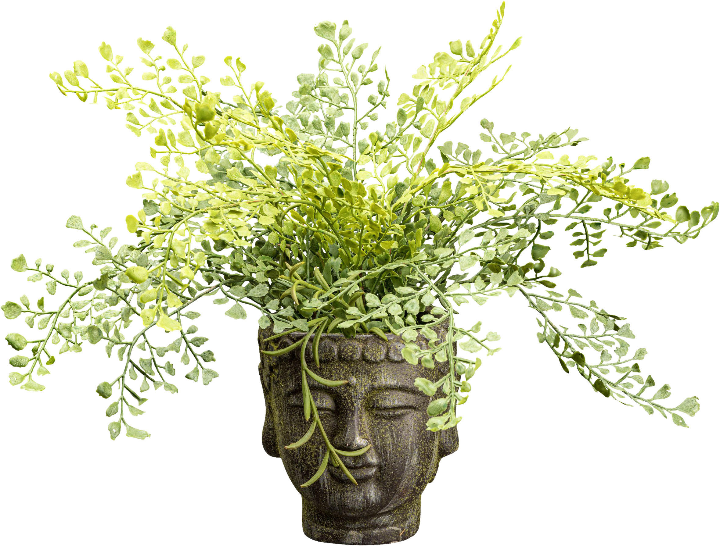 KUNSTPFLANZE Frauenhaarfarne 35 cm  - Braun/Grün, Design, Kunststoff/Stein (35cm) - P & B