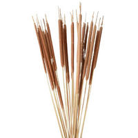 KONSTBLOMMA - Design (70cm)