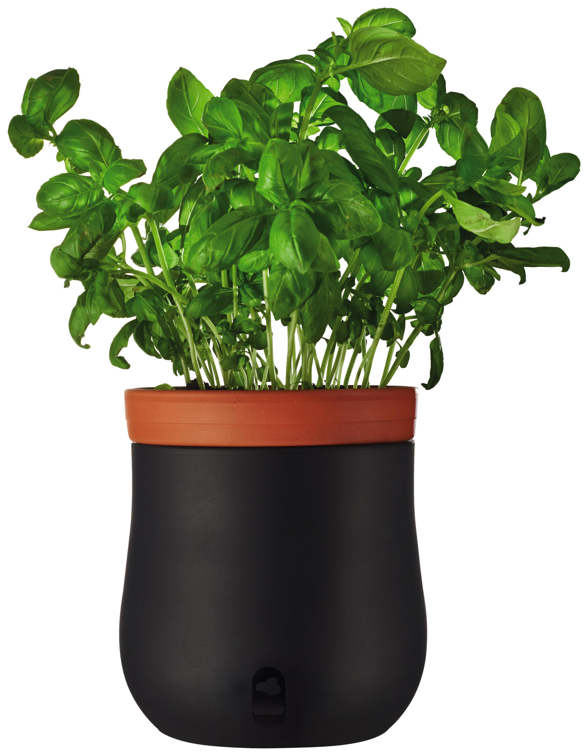 Pflanztopf 15,6/16,5 cm