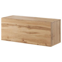 LOWBOARD  in 100/40/38 cm  - Eiche Wotan, Design, Holzwerkstoff (100/40/38cm) - Livetastic