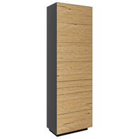 GARDEROBENSCHRANK  in  - Wildeiche/Anthrazit, Natur, Holz/Holzwerkstoff (65cm) - Dieter Knoll