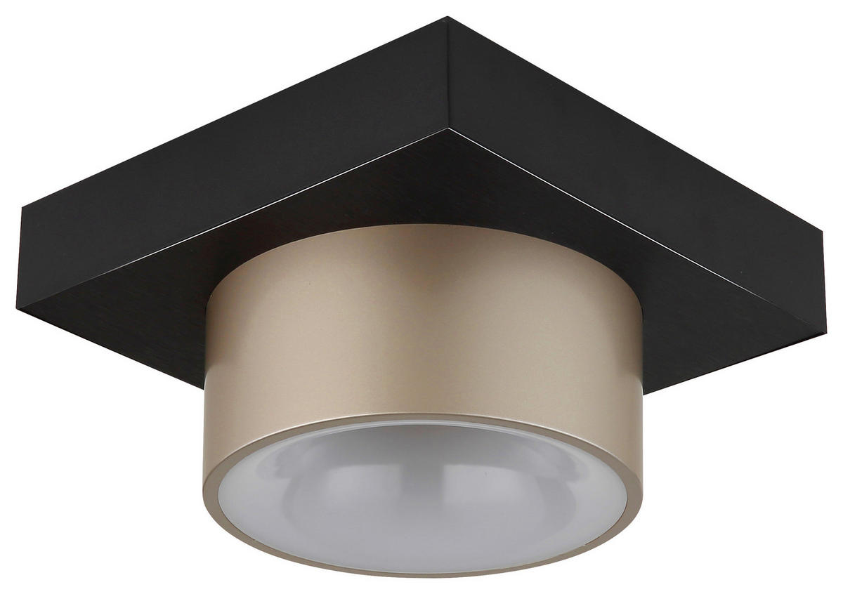 DECKENLEUCHTE 20/20/13 cm  - Champagner/Opal, Trend, Kunststoff/Metall (20/20/13cm) - Collet's Monde