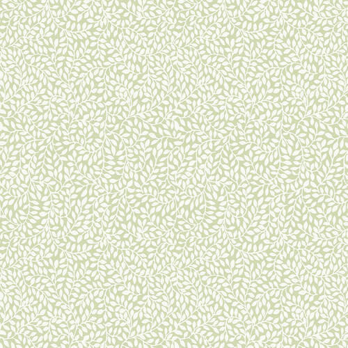 Xora Vliestapete Hellgrün 52x1000 cm