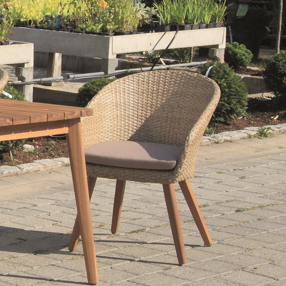 RATTANSESSEL Holz, Metall, Kunststoff, Textil Akaziefarben, Teakfarben  - Akaziefarben/Teakfarben, Basics, Holz/Kunststoff (62/77/74cm) - Acamp