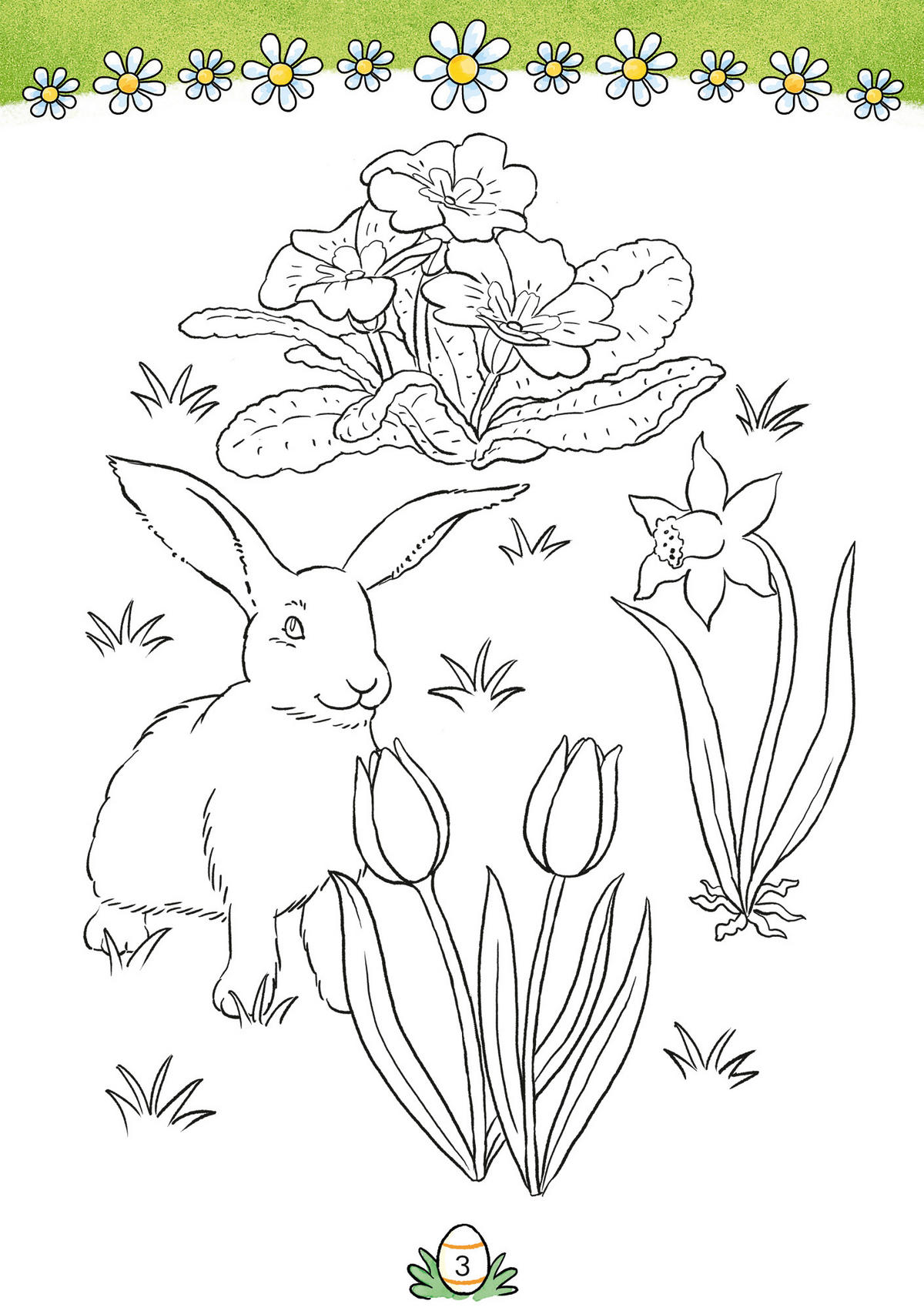 BUCH  - Multicolor, Basics, Papier (14,8/21/1cm)