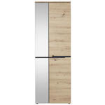 GARDEROBENSCHRANK  in 65/192/38 cm  - Eichefarben/Graphitfarben, Design, Glas/Holzwerkstoff (65/192/38cm) - Voleo