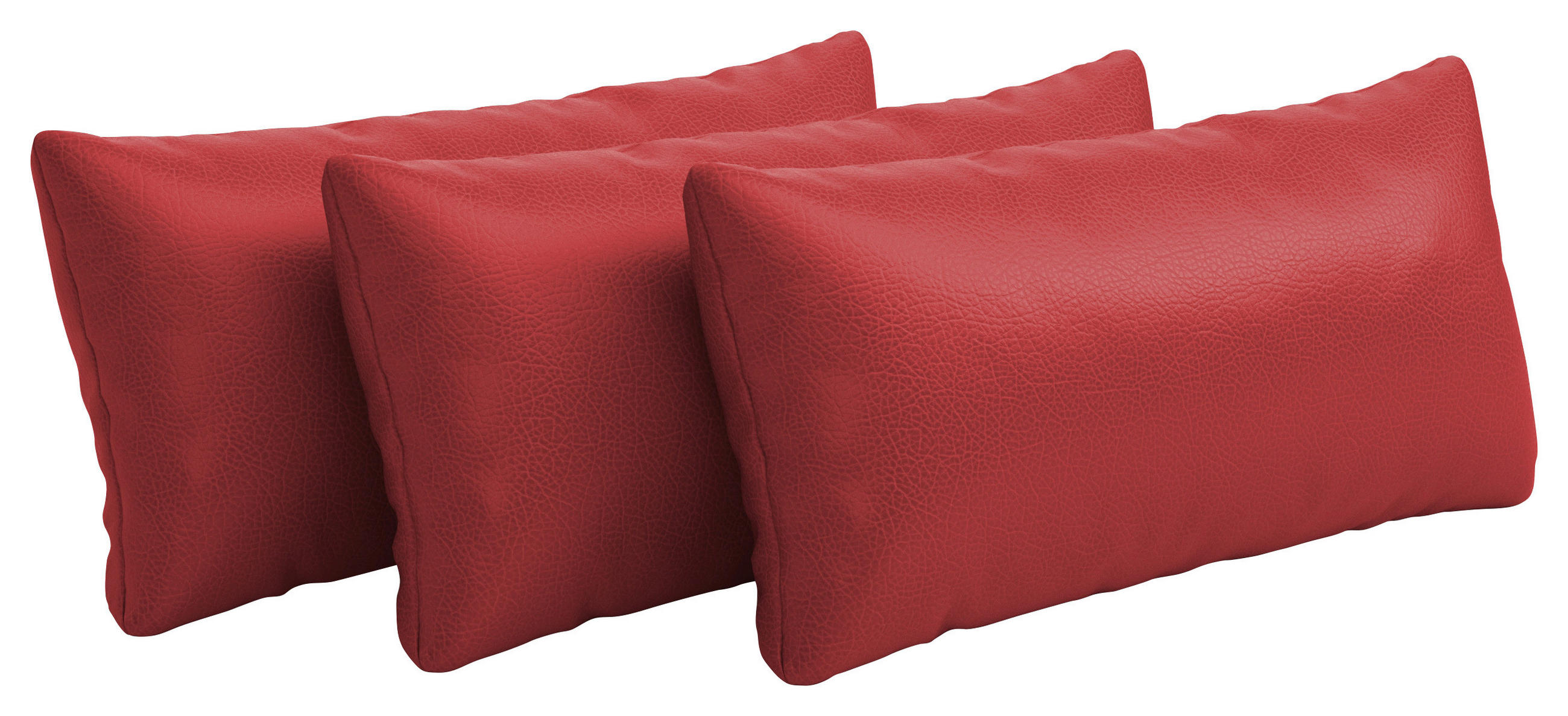 NIERENKISSEN - Rot, Konventionell, Leder (65/25cm) - Sit & More