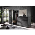 GARDEROBE 4-teilig  in 235/196/39 cm  - Anthrazit, Design, Glas/Holz (235/196/39cm) - Johann Jakob