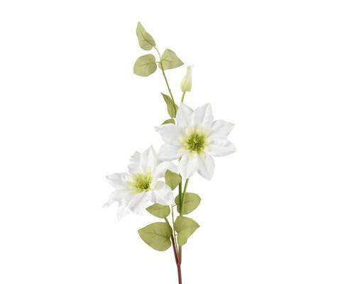 BILJKA UMJETNA  - bijela, Basics, plastika (62cm)