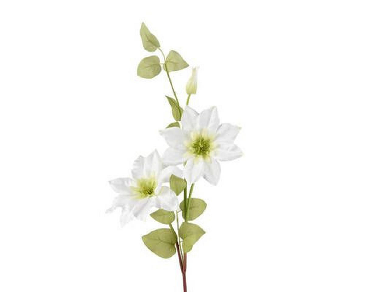 UMETNA RASTLINA - bela, Basics, umetna masa (62cm)