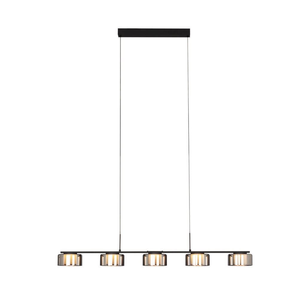 Dieter Knoll ZÁVĚSNÉ LED SVÍTIDLO, 119/15/150 cm