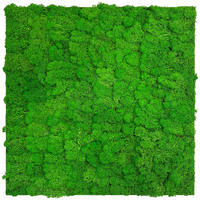 AKUSTIKPANEEL Modular Wall System Moos 52/52/4 cm  - Grün, KONVENTIONELL, Naturmaterialien (52/52/4cm) - Jangal