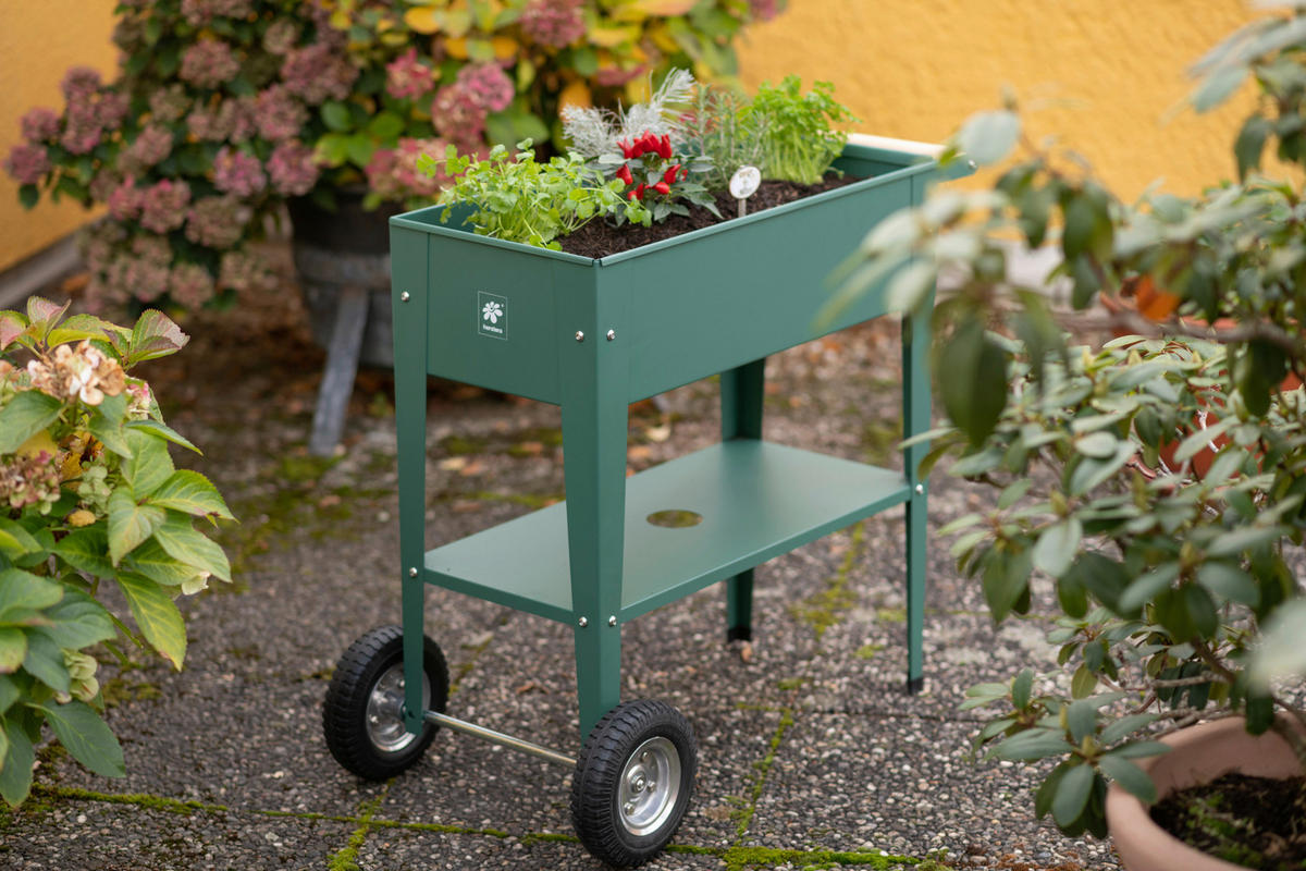 HOCHBEET 35/80/75 cm  - Olivgrün, Basics, Metall (35/80/75cm)