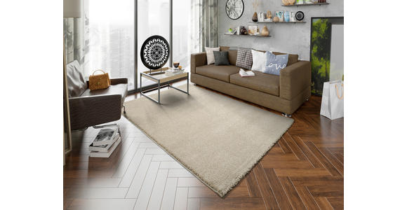 WEBTEPPICH 240/340 cm Beige  - Beige, Basics, Textil (240/340cm) - Novel