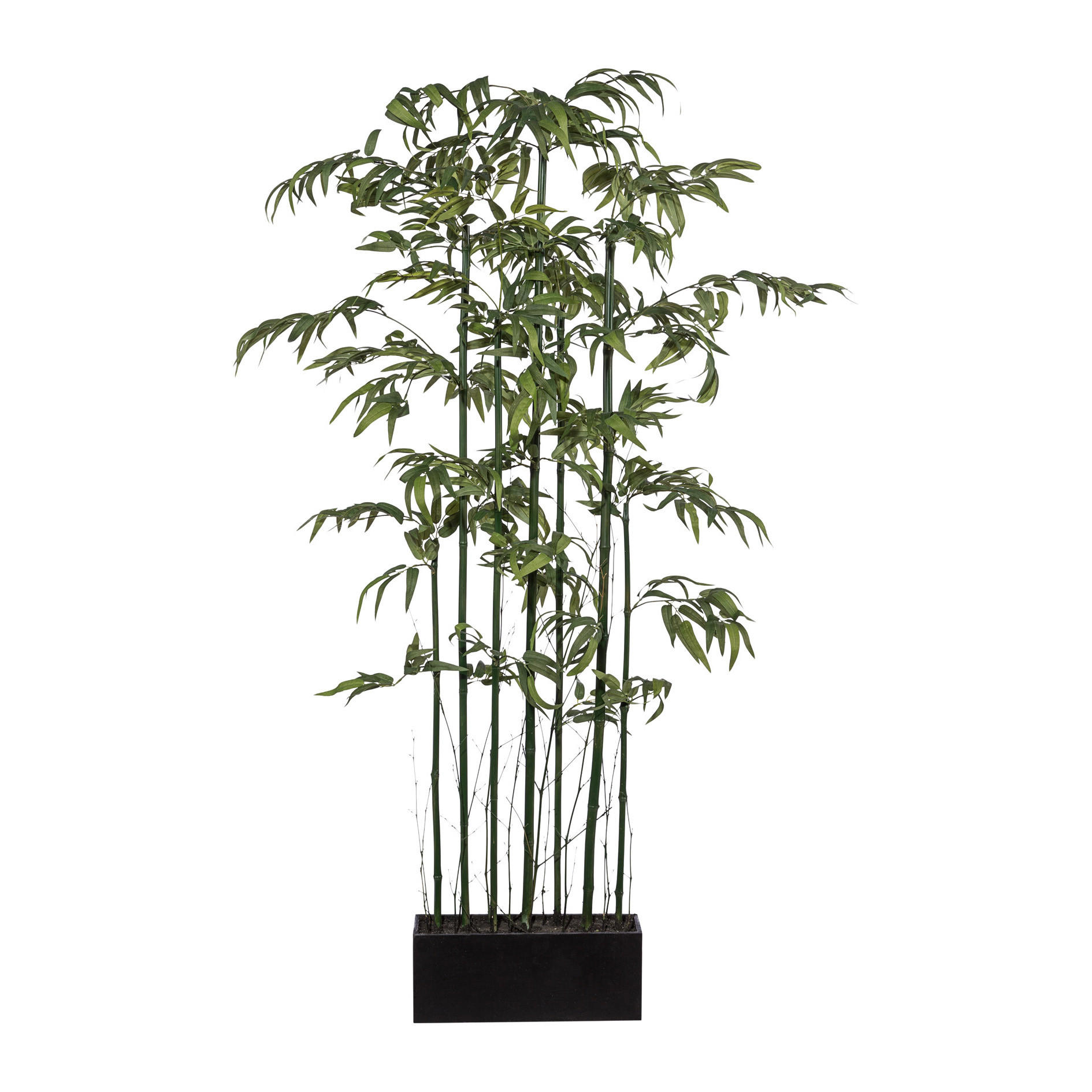 KUNSTPFLANZE Bambus 150 cm - Schwarz/Grün, Basics, Holz/Kunststoff (150cm) - P & B