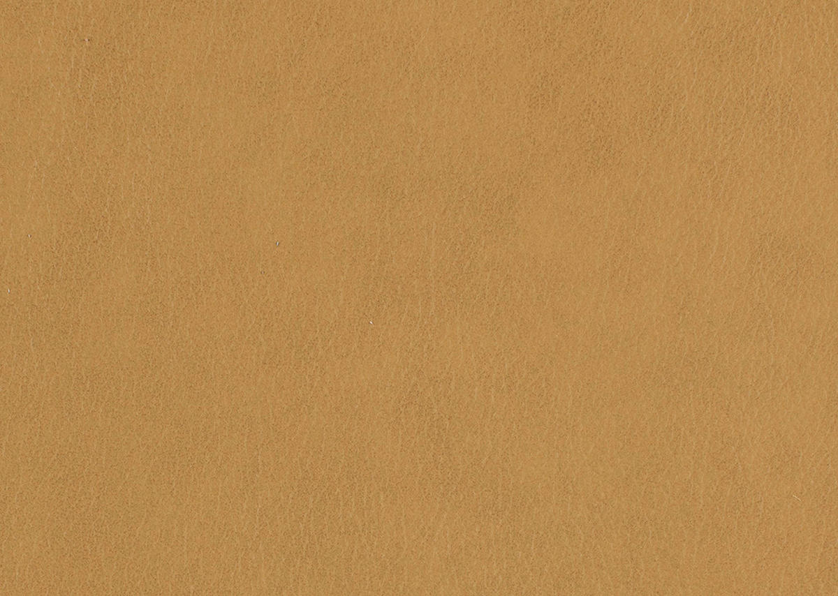 SESSEL in Echtleder Currygelb  - Currygelb/Eichefarben, Natur, Leder/Holz (75/84/76cm) - Valnatura