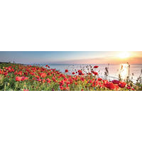 ACRYLGLASBILD Landschaft & Natur 50/180 cm  - Multicolor, Natur, Kunststoff (50/180cm) - Euroart