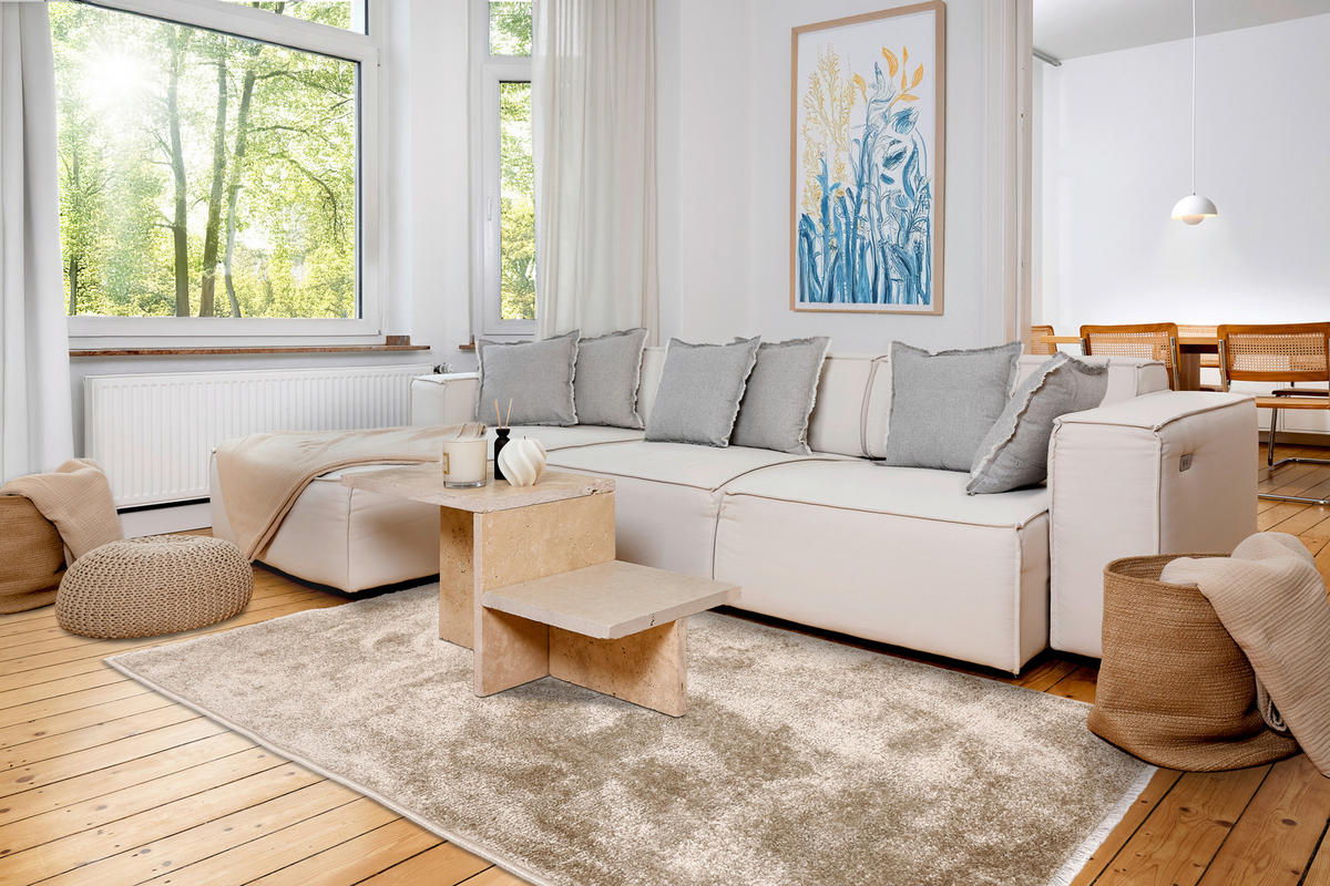 WEBTEPPICH 120/180 cm Stevie Beige rechteckig  - Beige, Basics, Kunststoff (120/180cm) - Astra