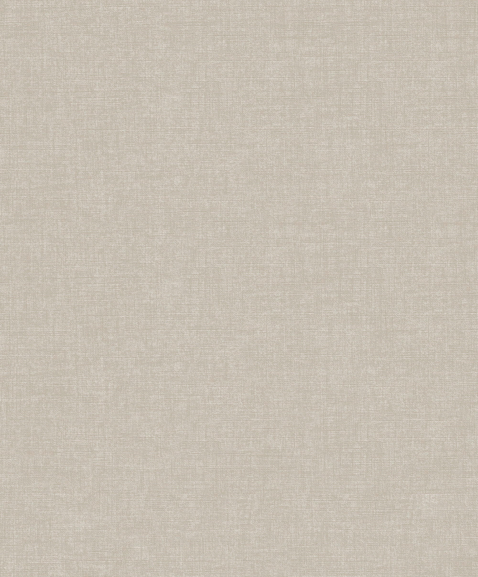 VLIESTAPETE  - Taupe, Basics, Papier/Kunststoff (52/1000cm) - Xora