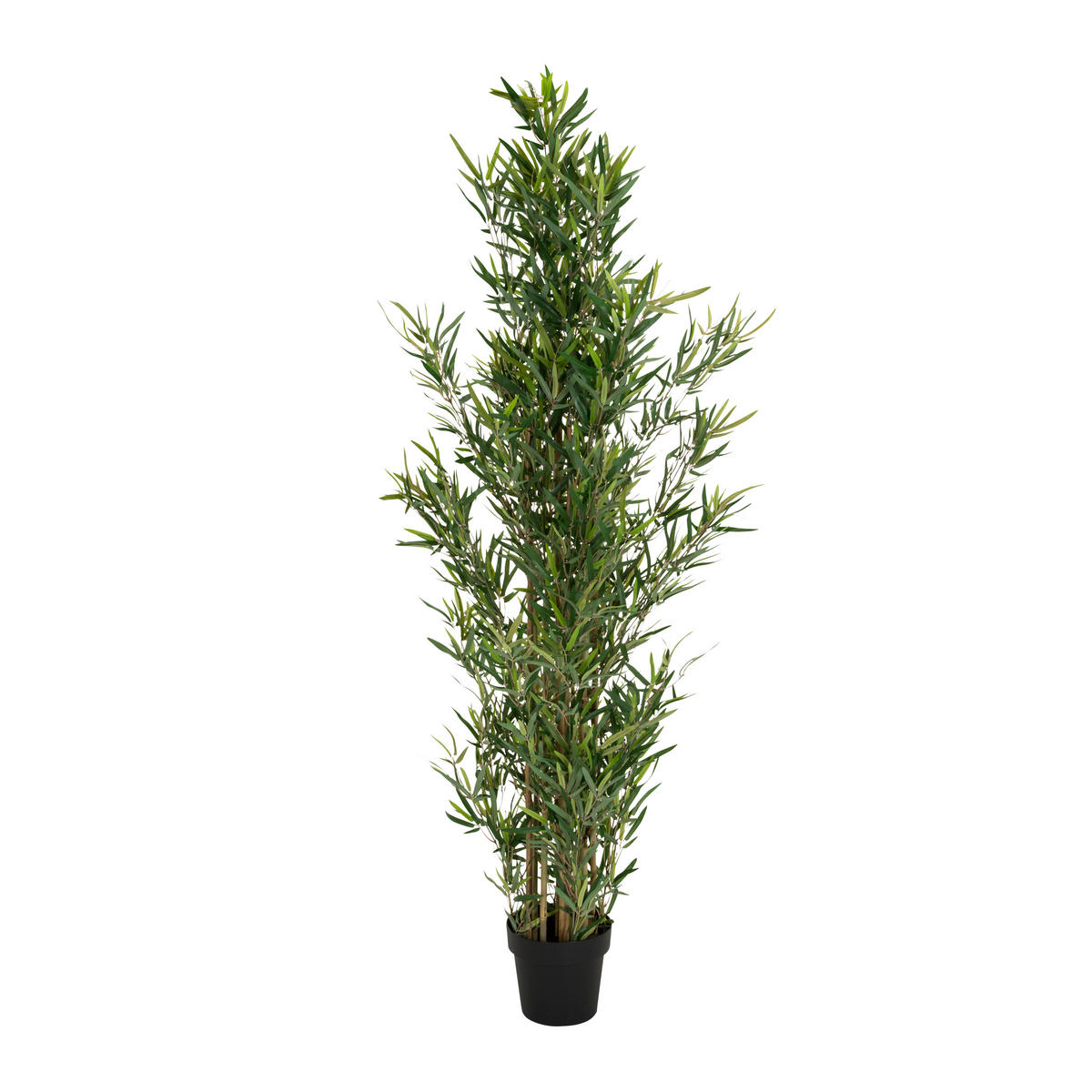 BAMBUS Bambus  - Schwarz/Grün, Basics, Kunststoff/Textil (70/165/70cm) - MID.YOU