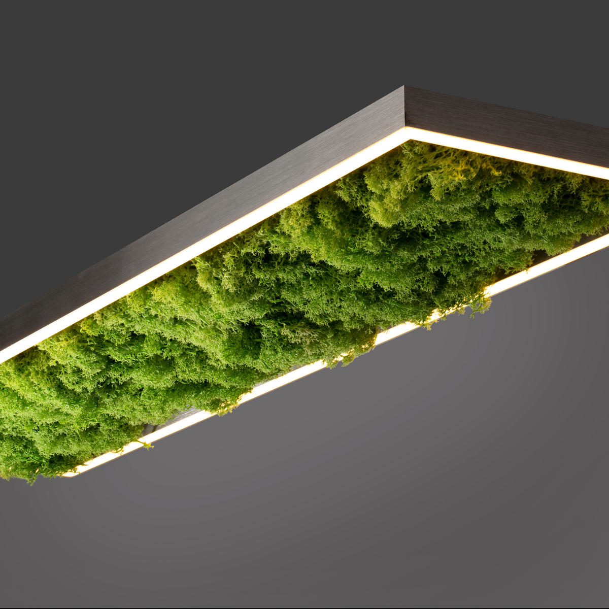 LED-DECKENLEUCHTE Green Knut 100/25/5,6 cm   - Natur, Naturmaterialien/Kunststoff (100/25/5,6cm)