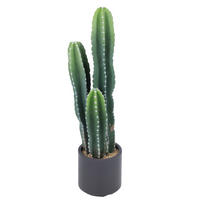 UMĚLÁ ROSTLINA kaktus 75 cm - šedá/zelená, Basics, plast (75cm) - Ambia Home