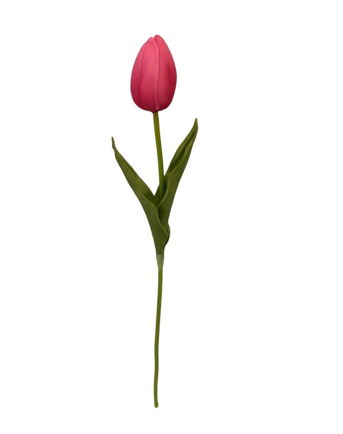 TULIPÁN - krémszínű/sárga, Lifestyle, műanyag (36cm)