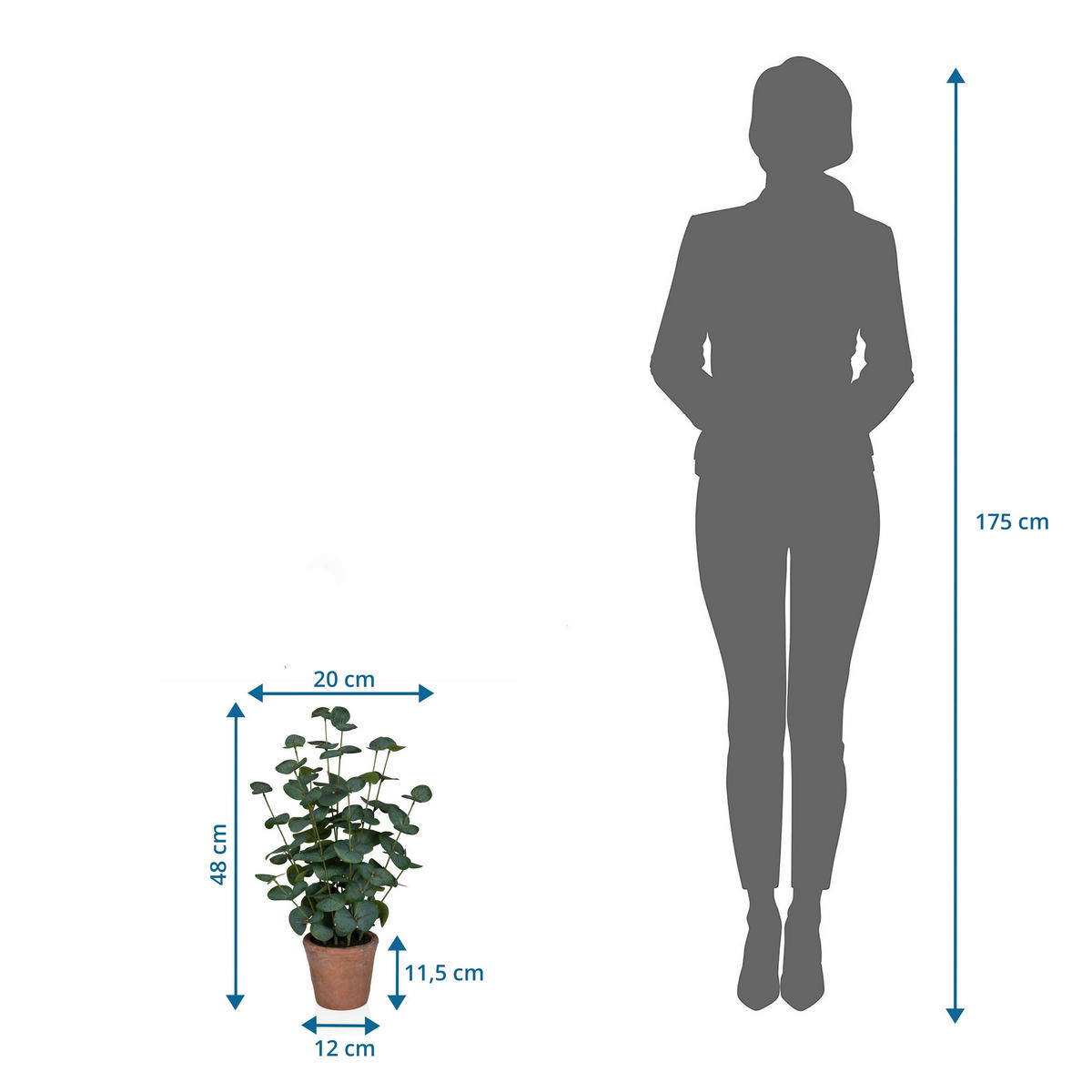 KUNSTPFLANZE Eukalyptus  - Bronzefarben/Grün, MODERN, Kunststoff (20/48/20cm) - MID.YOU