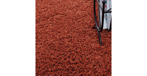 HOCHFLORTEPPICH 120/170 cm Life 1500 Terracotta  - Terracotta, KONVENTIONELL, Textil (120/170cm) - Novel