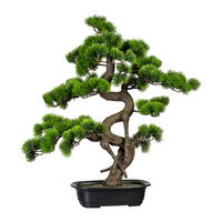 BONSAI Bonsai  - Schwarz/Braun, Basics, Kunststoff (50/65cm) - P & B