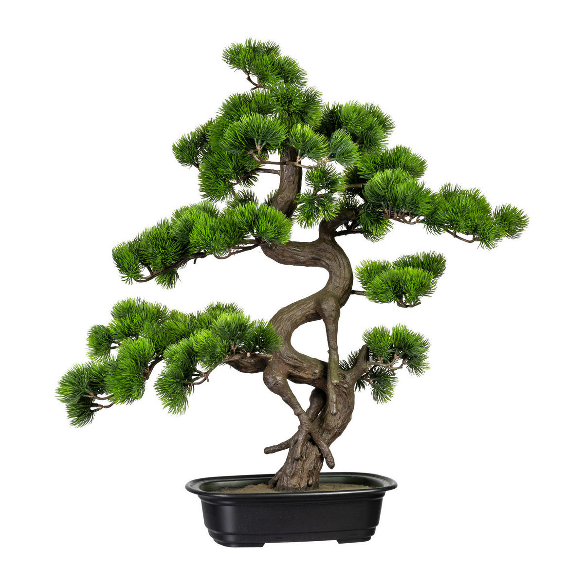 BONSAI Bonsai  - Schwarz/Braun, Basics, Kunststoff (50/65cm) - P & B