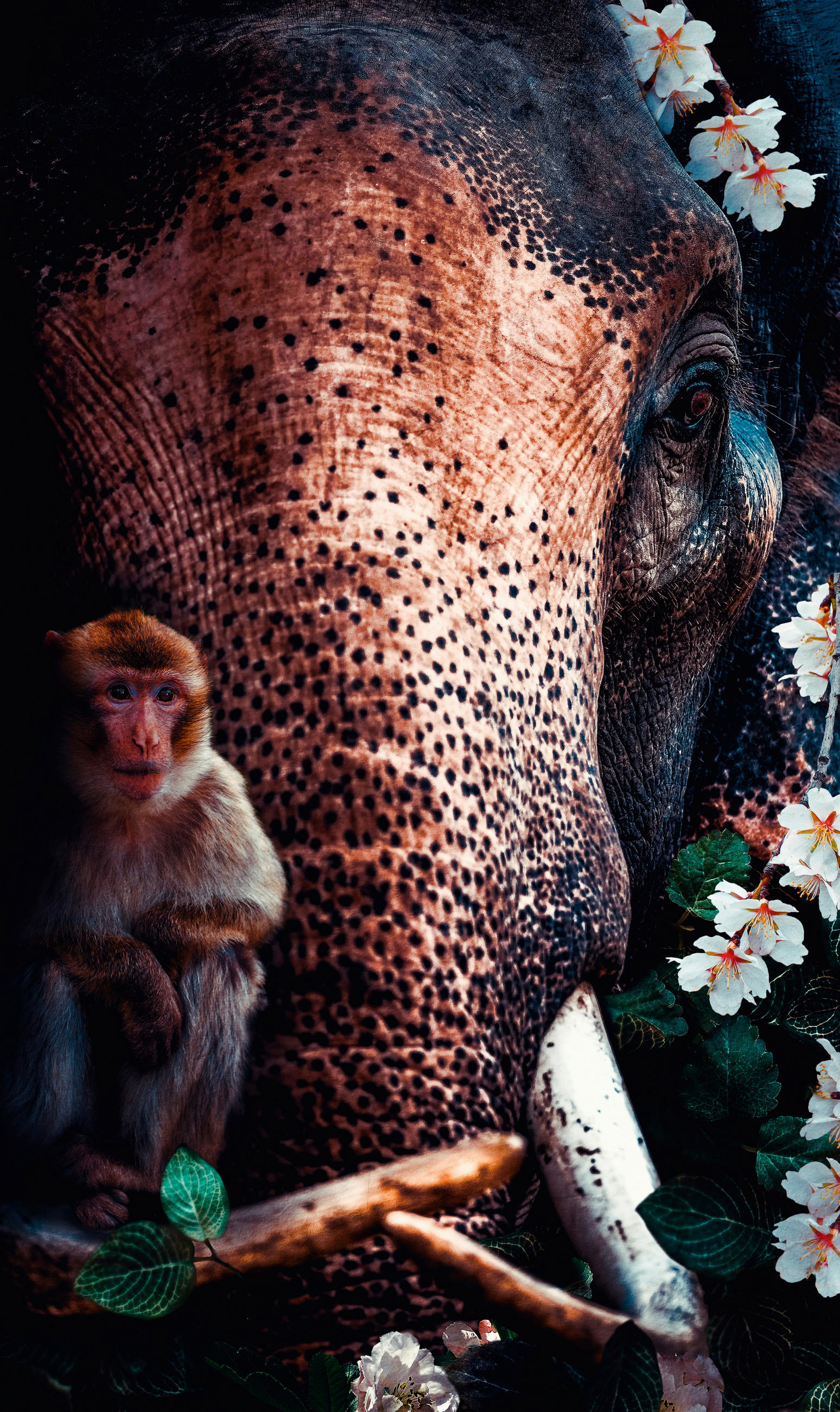 BILD 70/118/10 cm  - Multicolor, Basics, Kunststoff/Metall (70/118/10cm) - Wandkraft