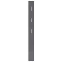 GARDEROBENPANEEL  in 15/170/3 cm  - Graphitfarben/Alufarben, KONVENTIONELL, Glas/Holzwerkstoff (15/170/3cm) - Boxxx