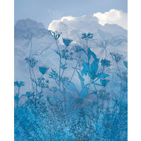 VLIESTAPETE  - Natur (200/250cm) - Komar