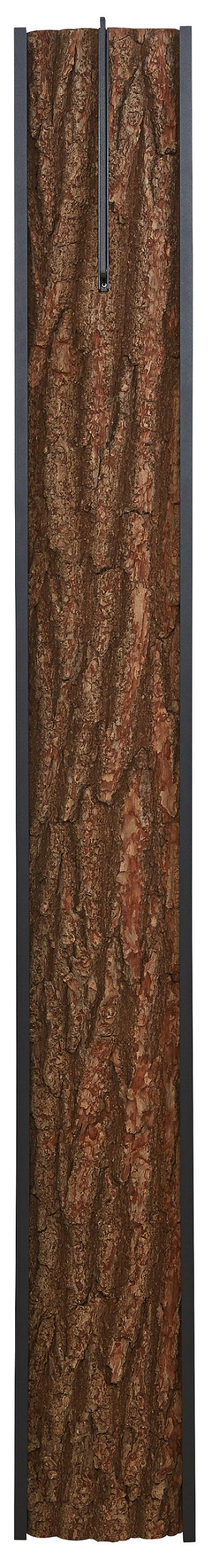 GARDEROBENPANEEL Kerneiche vollmassiv Anthrazit, Eichefarben  - Eichefarben/Anthrazit, Design, Holz/Metall (20/174/8cm) - Valnatura