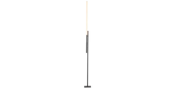 LED-STEHLEUCHTE 27-150/19/162-248 cm - Schwarz, Design, Metall (27-150/19/162-248cm) - Dieter Knoll