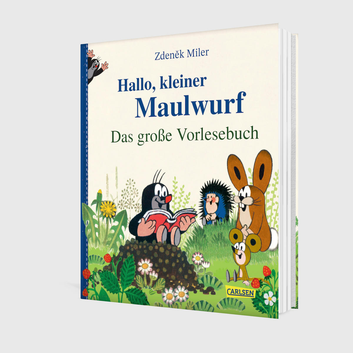 BUCH - Multicolor, Basics, Papier (23/20/1,8cm) - Carlsen